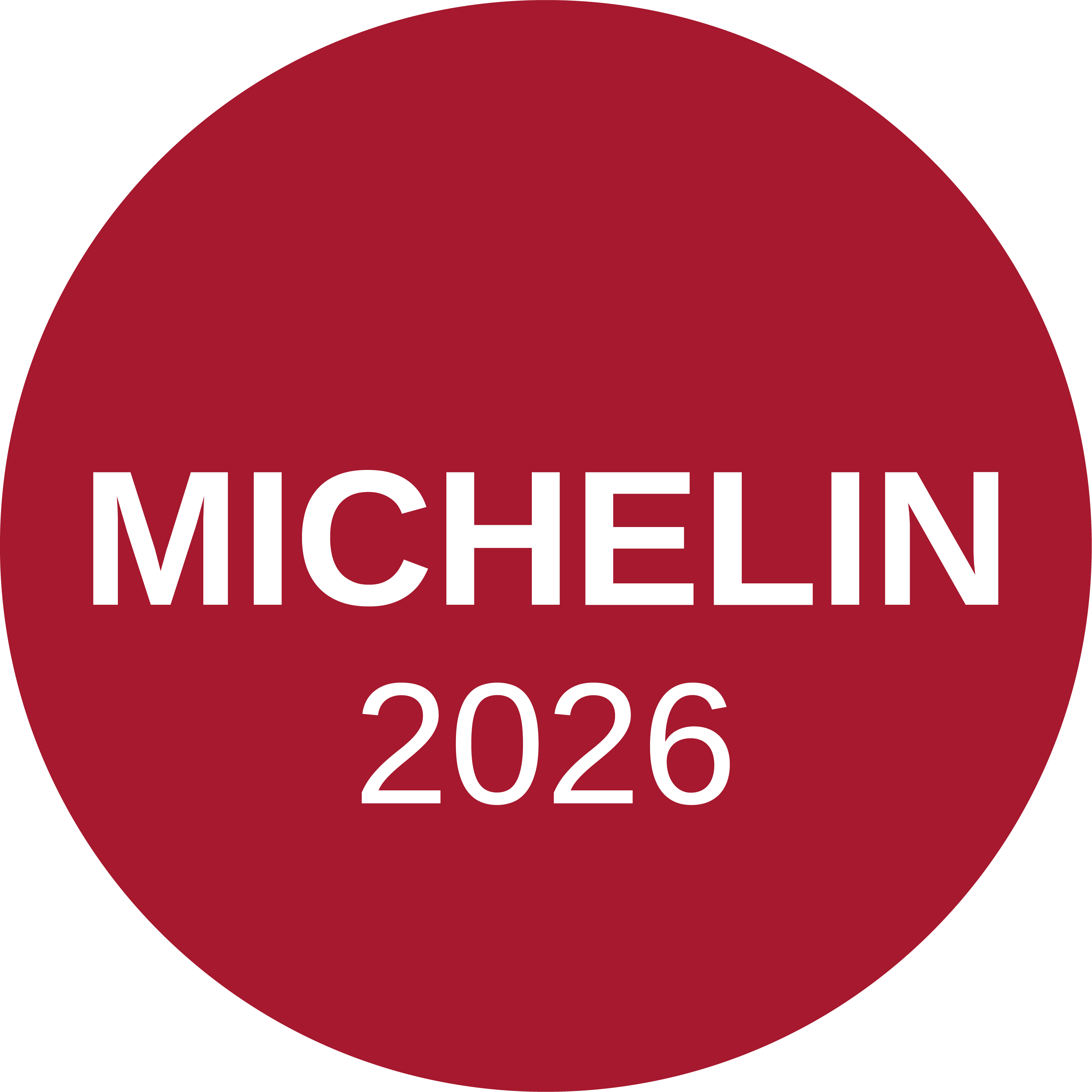 michelin logo